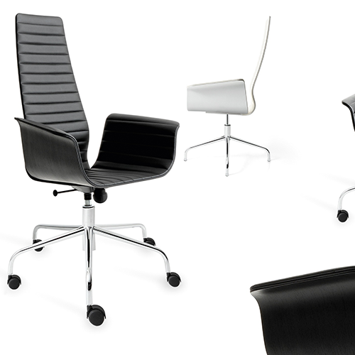 Meeting Chair