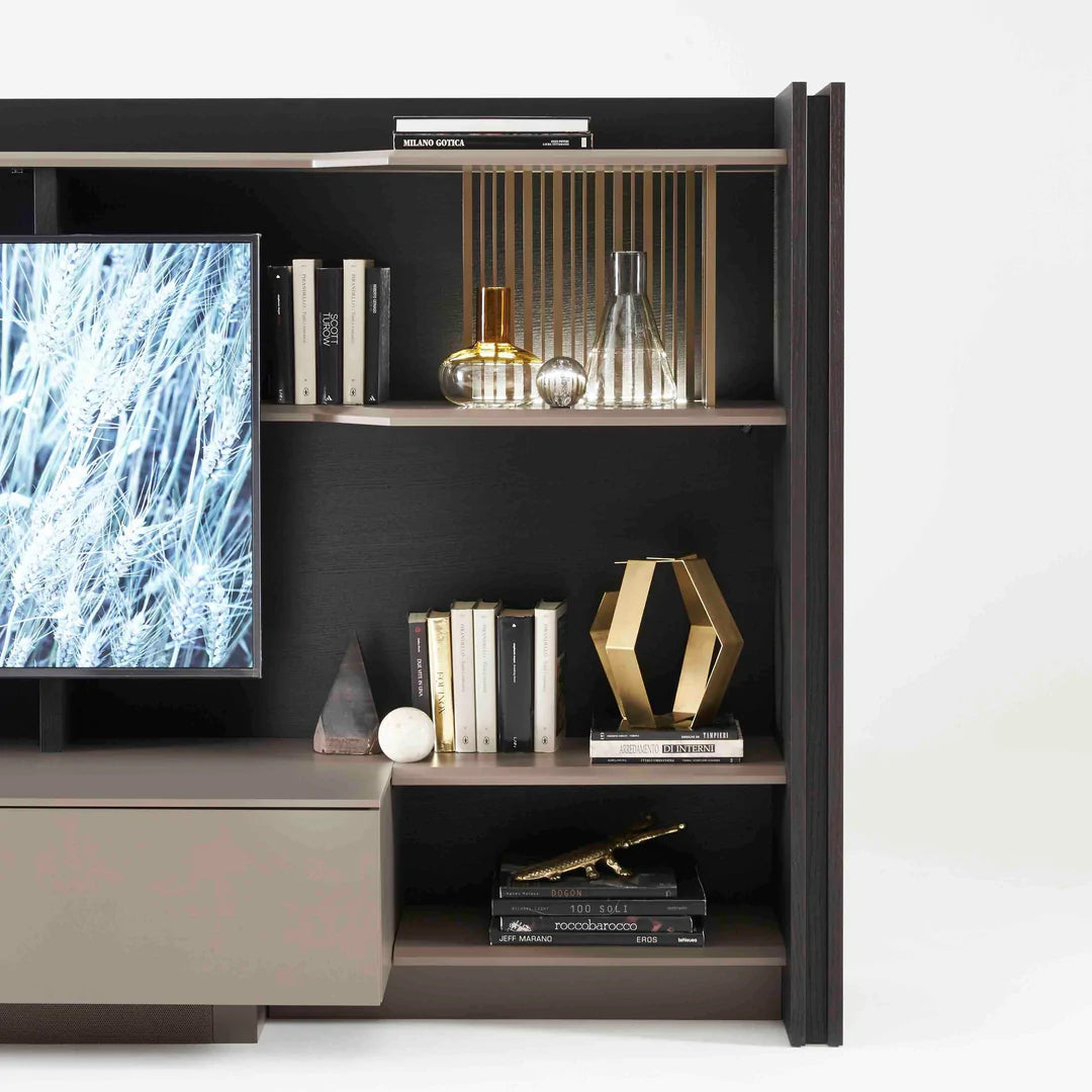 Shelving on freestanding media unit.