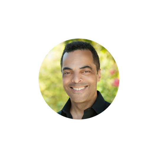 Modern Furniture Vancouver Wall Bed With Desk Murphy Beds