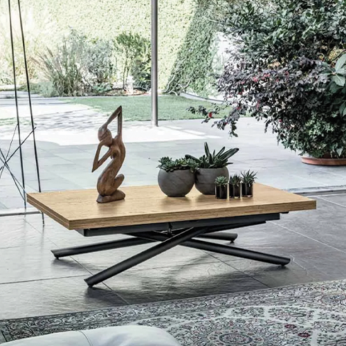 Coffee table with platnts and a sculpture atop the surface