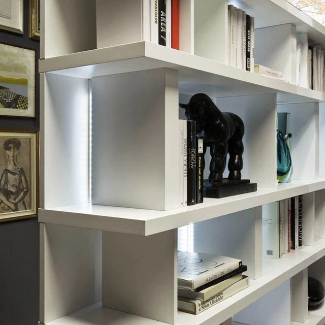 Close up of shelving unit room divider with books and accessories.