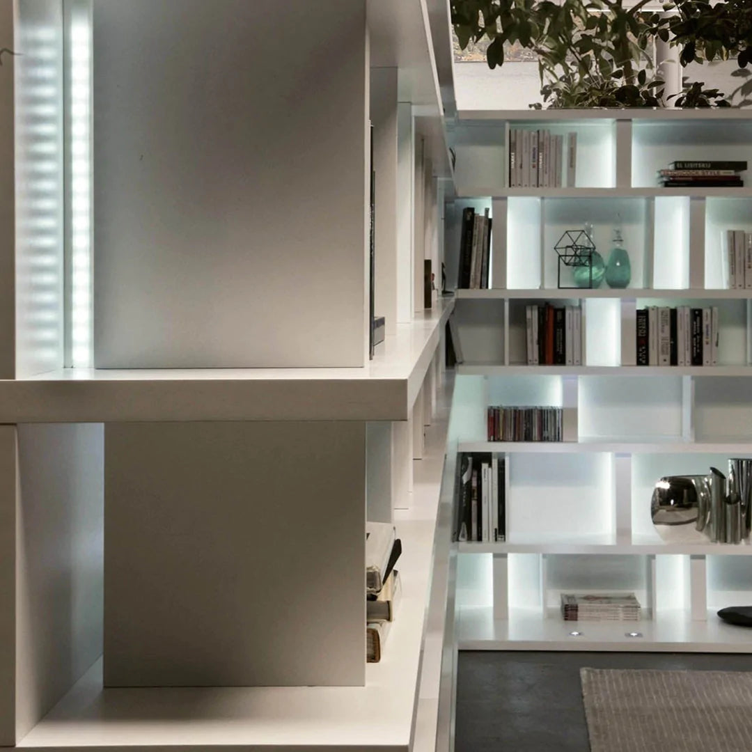 Close up of shelving unit room divider with books and accessories.